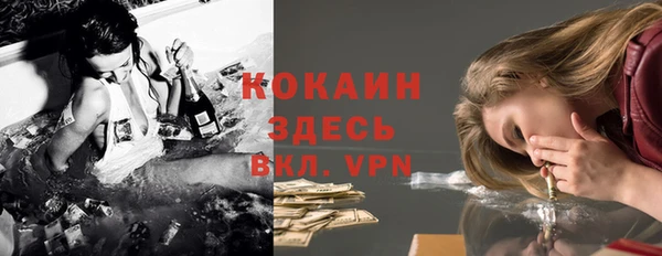 хмурый Арсеньев