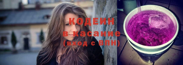 хмурый Арсеньев