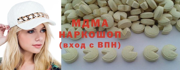 хмурый Арсеньев