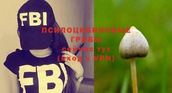 хмурый Арсеньев