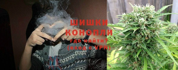хмурый Арсеньев